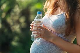 Bpa And Pregnancy Risk
