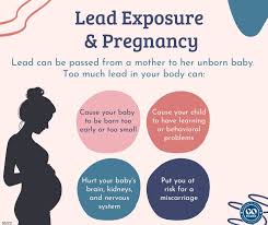 Lead Exposure Pregnancy